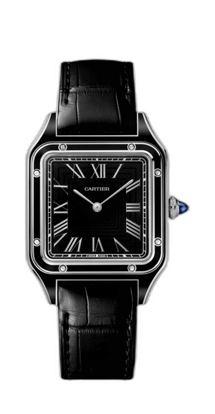 cartier wssa0046 price